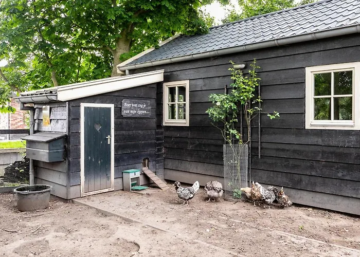 'onder De Boompjes' *