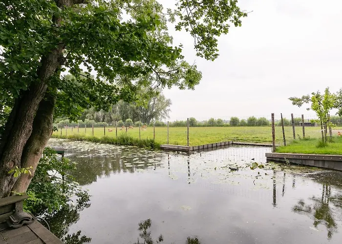 'onder De Boompjes' Chalet